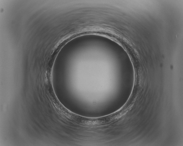 X0000083621497200702201302