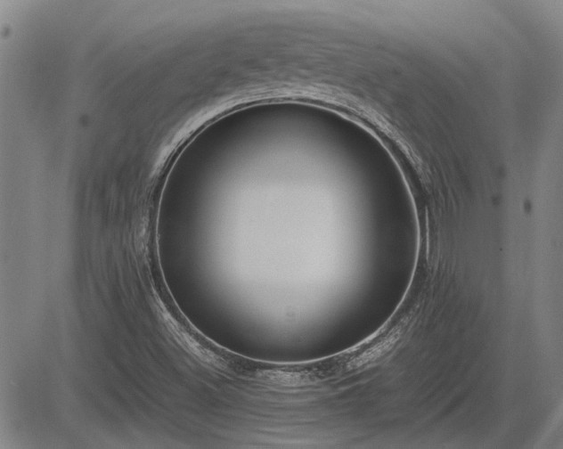 X0000083621500200702201302