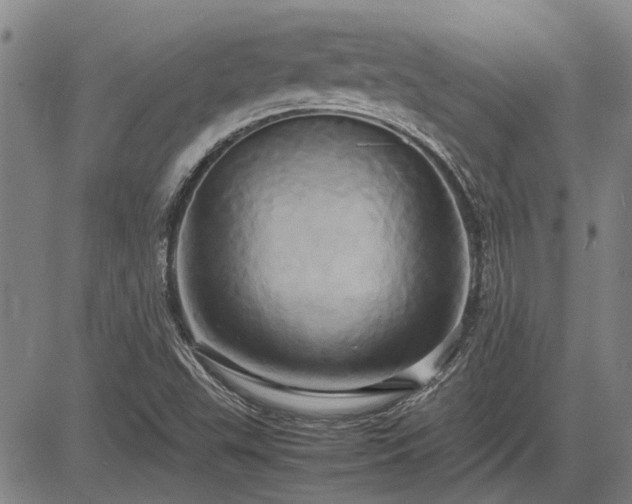 X0000083621503200702201302