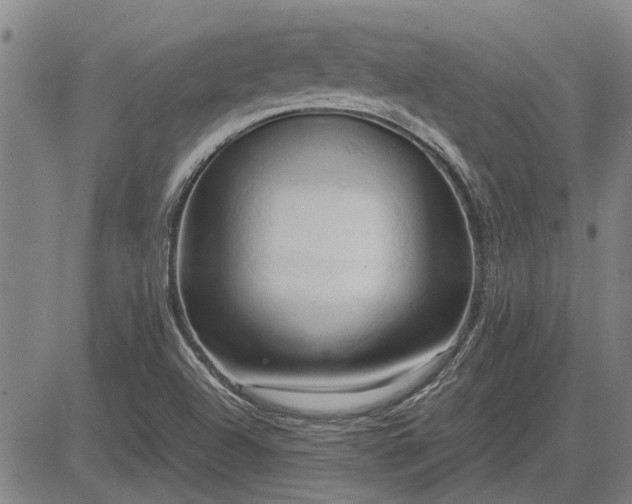 X0000083621504200702201302