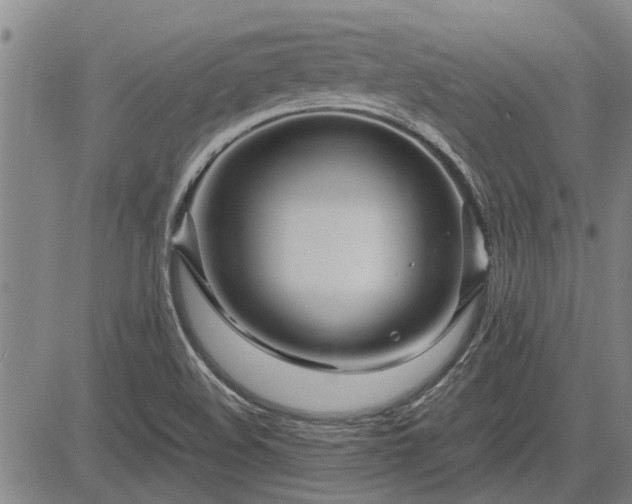 X0000083621508200702201302