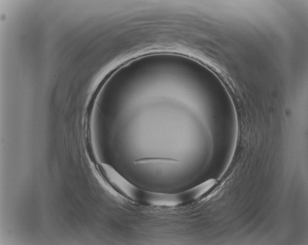 X0000083621519200702201302