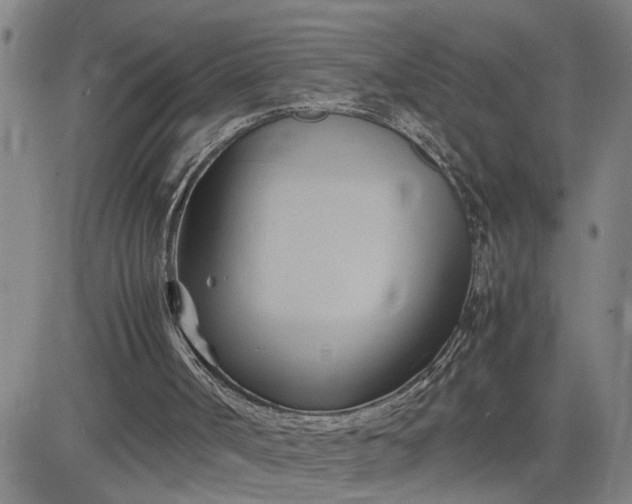 X0000083620002200702261005