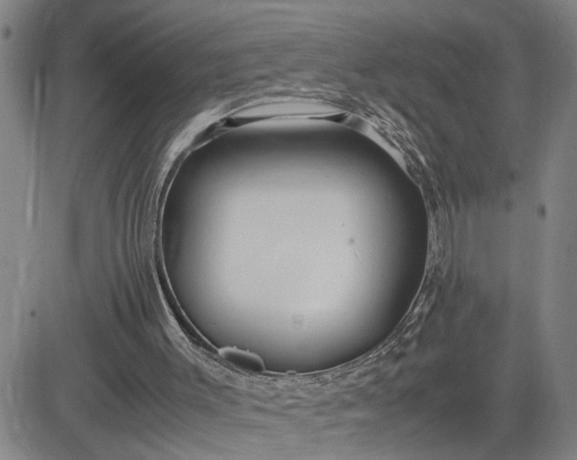 X0000083620003200702261005