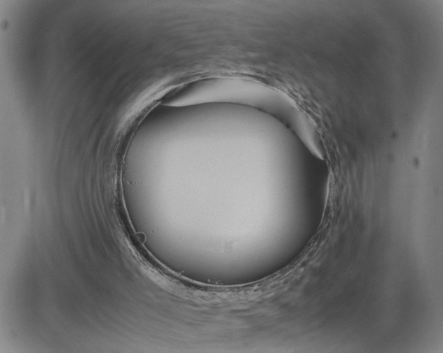 X0000083620005200702261005