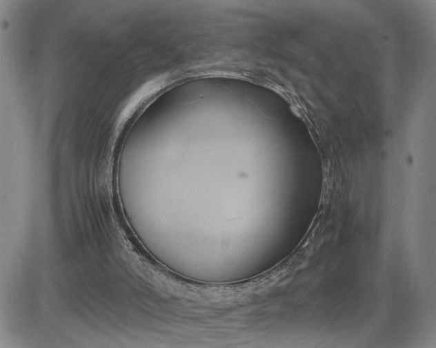 X0000083620006200702261005