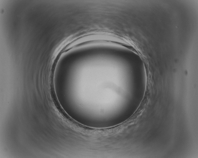 X0000083620007200702261005