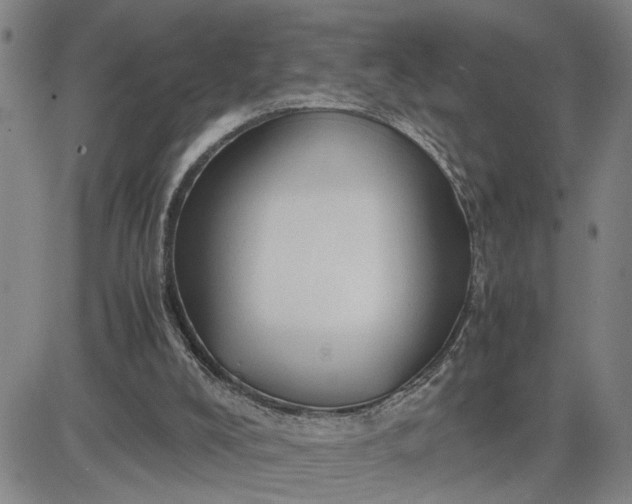 X0000083620008200702261005