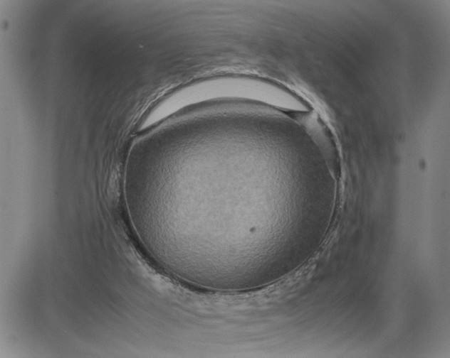 X0000083620009200702261005