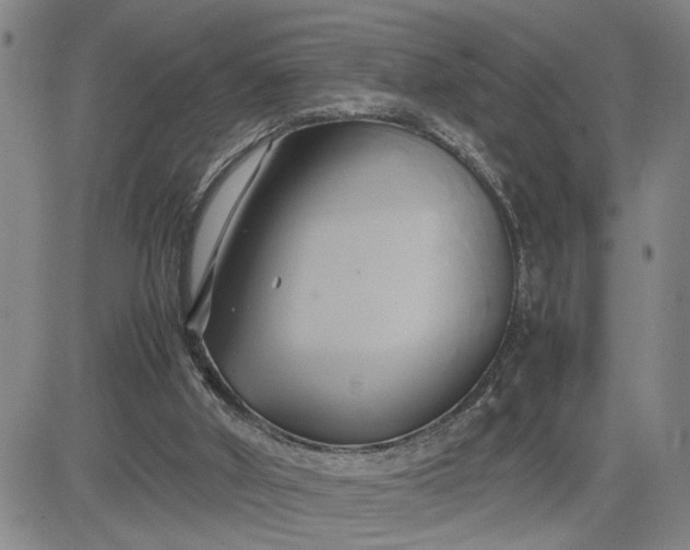 X0000083620010200702261005