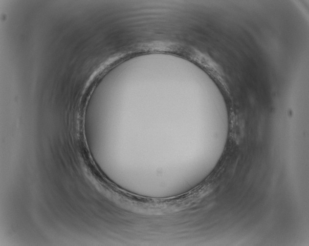 X0000083620012200702261005