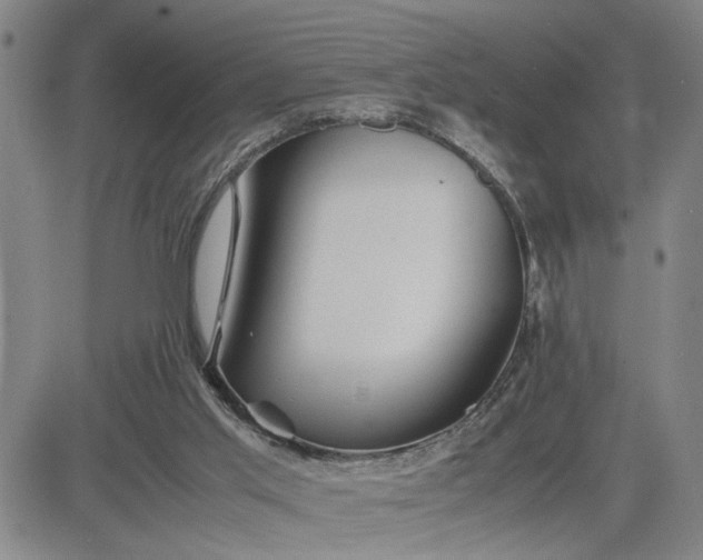 X0000083620013200702261005