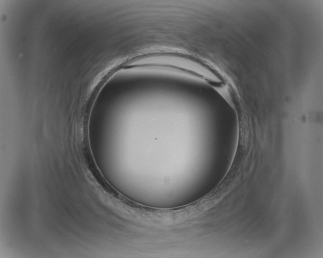 X0000083620015200702261005