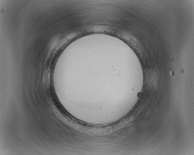 X0000083620016200702261005