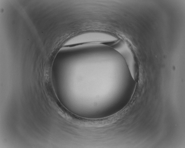 X0000083620017200702261005