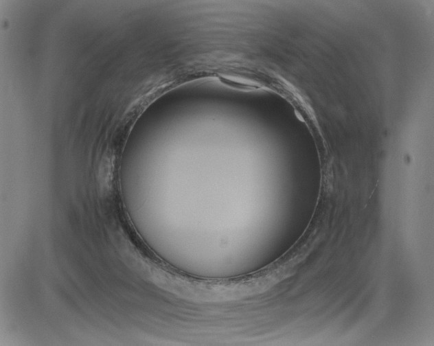 X0000083620018200702261005