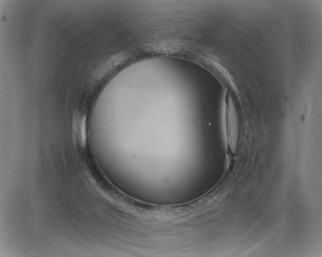 X0000083620020200702261005