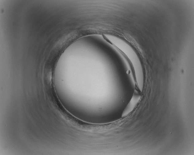 X0000083620021200702261005