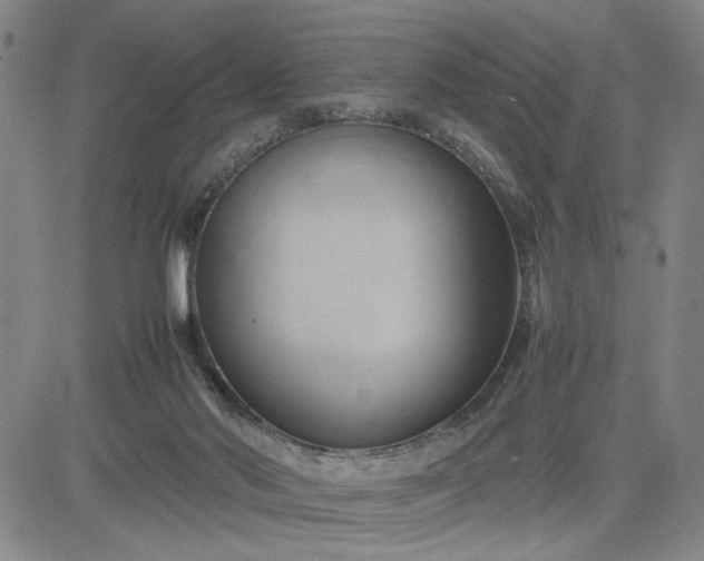 X0000083620022200702261005