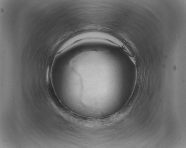 X0000083620024200702261005