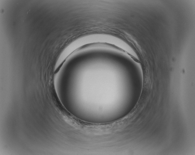 X0000083620025200702261005