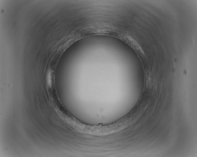 X0000083620026200702261005