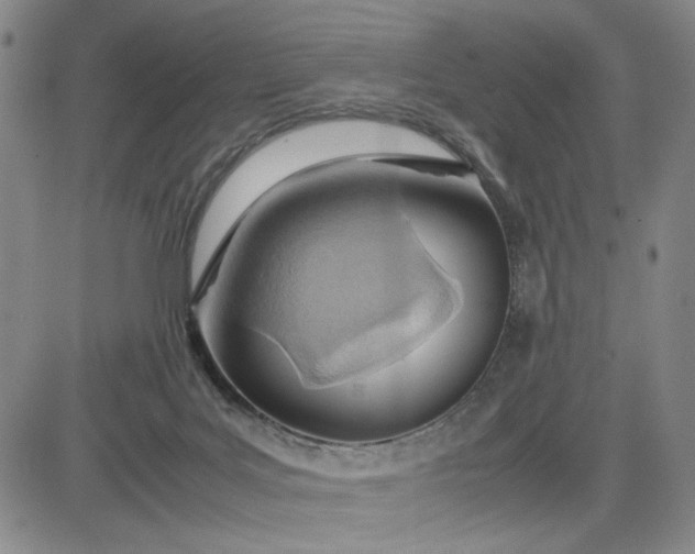 X0000083620027200702261005