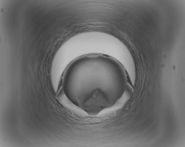 X0000083620031200702261005