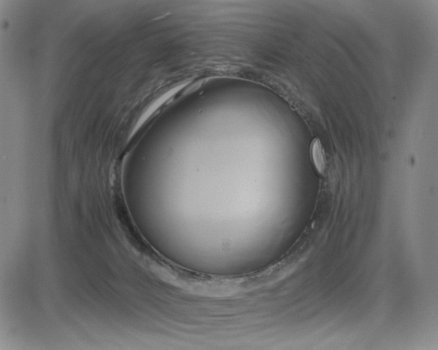 X0000083620032200702261005