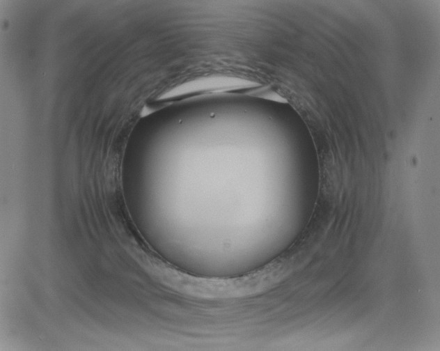 X0000083620034200702261005