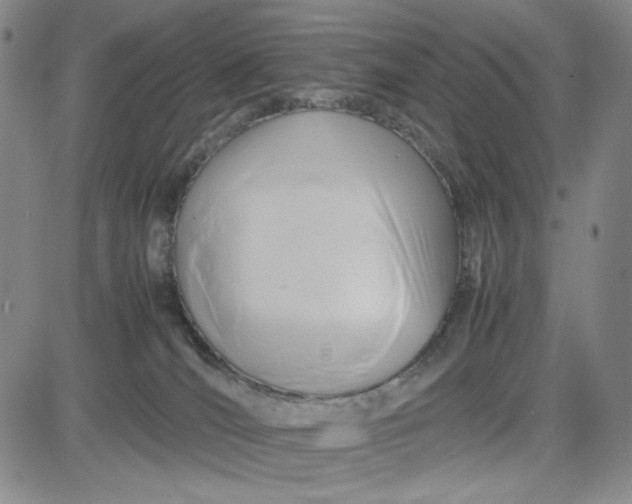 X0000083620036200702261005