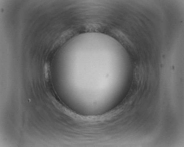 X0000083620038200702261005