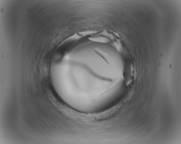 X0000083620039200702261005