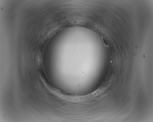 X0000083620040200702261005