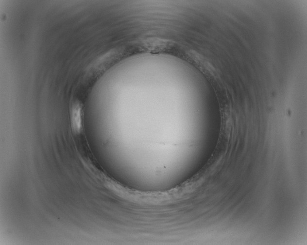 X0000083620042200702261005