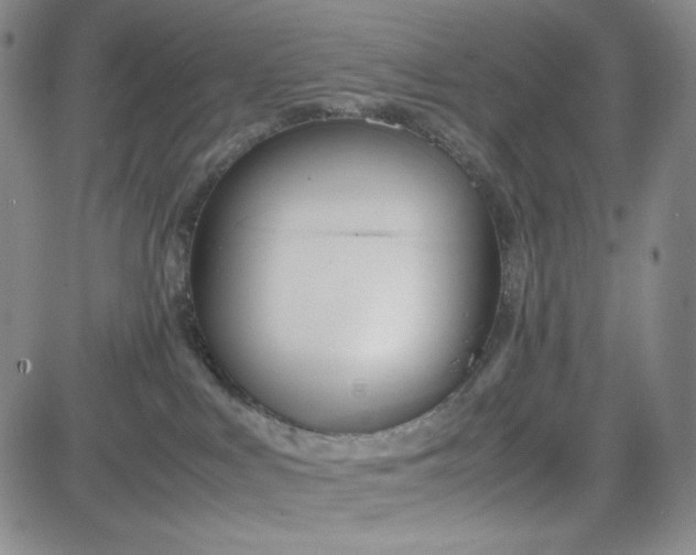 X0000083620043200702261004