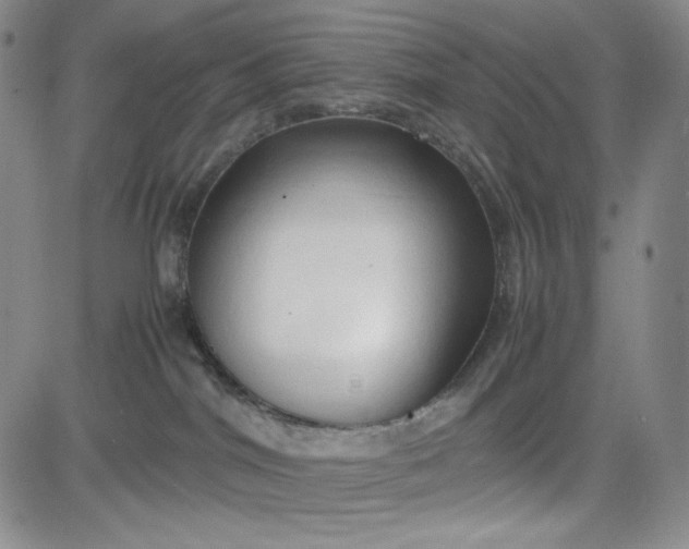 X0000083620044200702261004