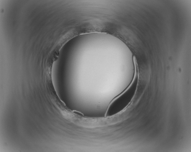 X0000083620045200702261004