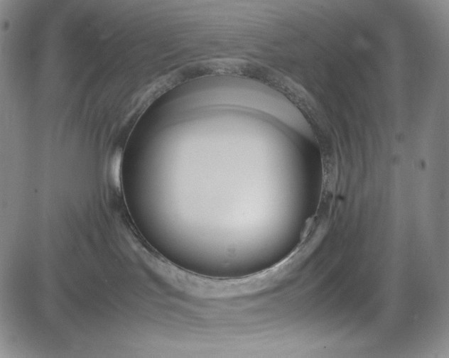 X0000083620047200702261004