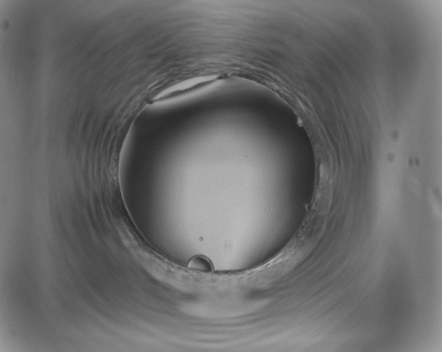 X0000083620048200702261004