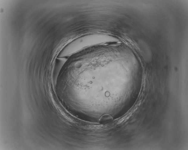 X0000083620049200702261004