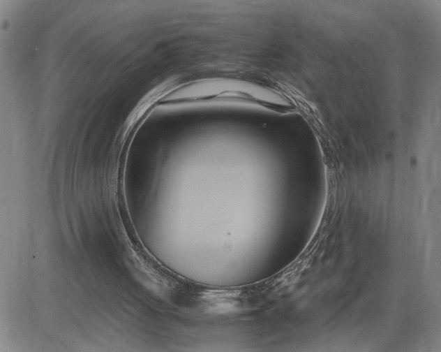 X0000083620051200702261004