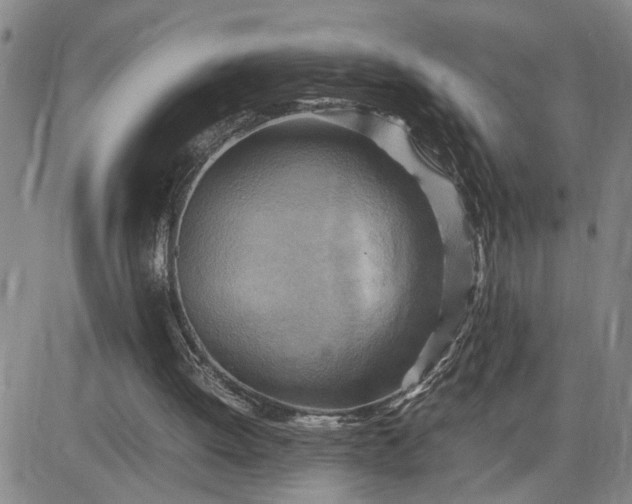 X0000083620052200702261004