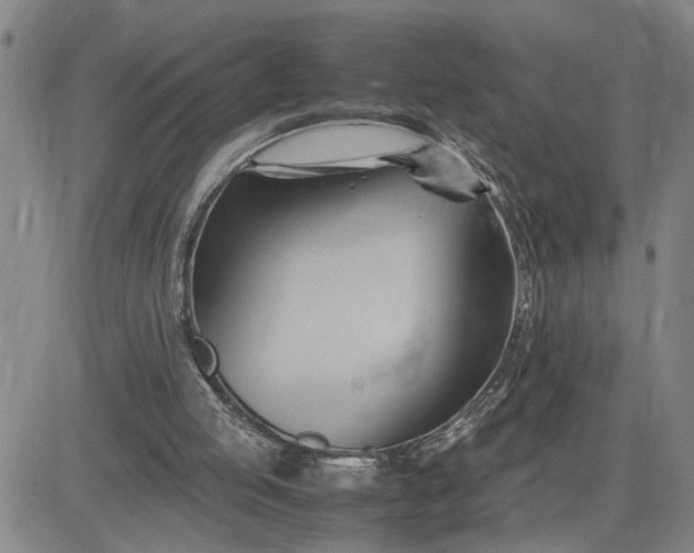 X0000083620053200702261004