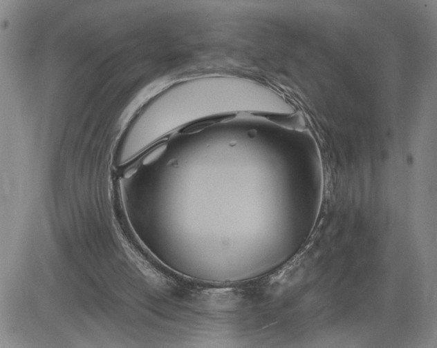 X0000083620054200702261004