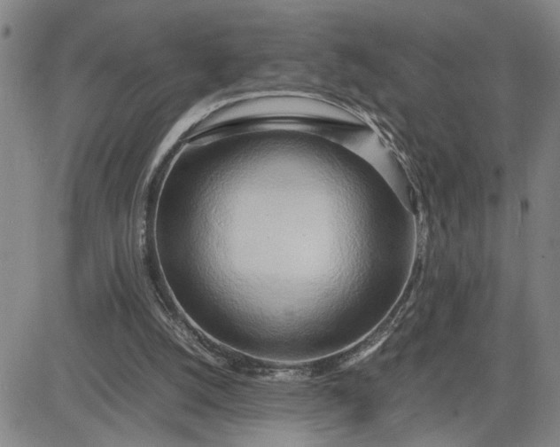 X0000083620056200702261004