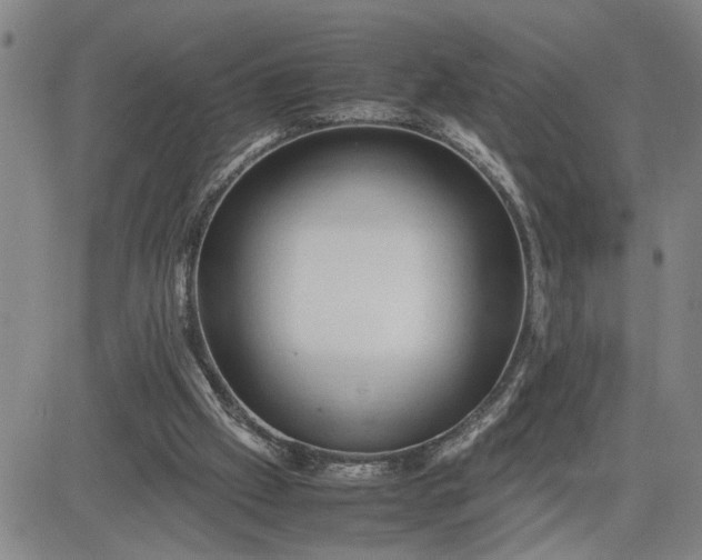 X0000083620057200702261004