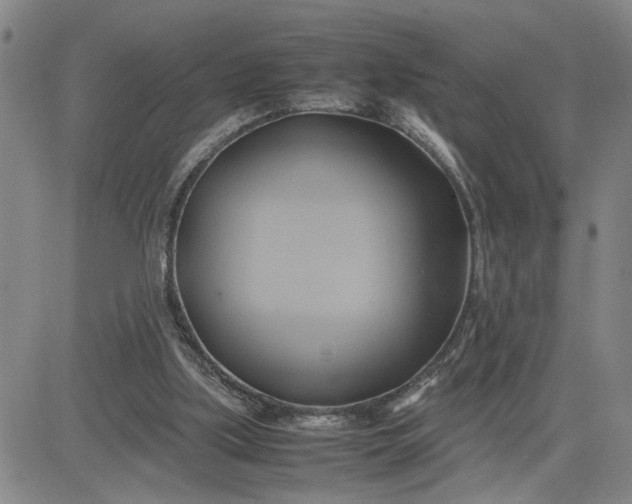 X0000083620059200702261004