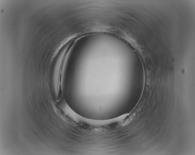 X0000083620060200702261004