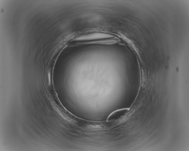 X0000083620061200702261004